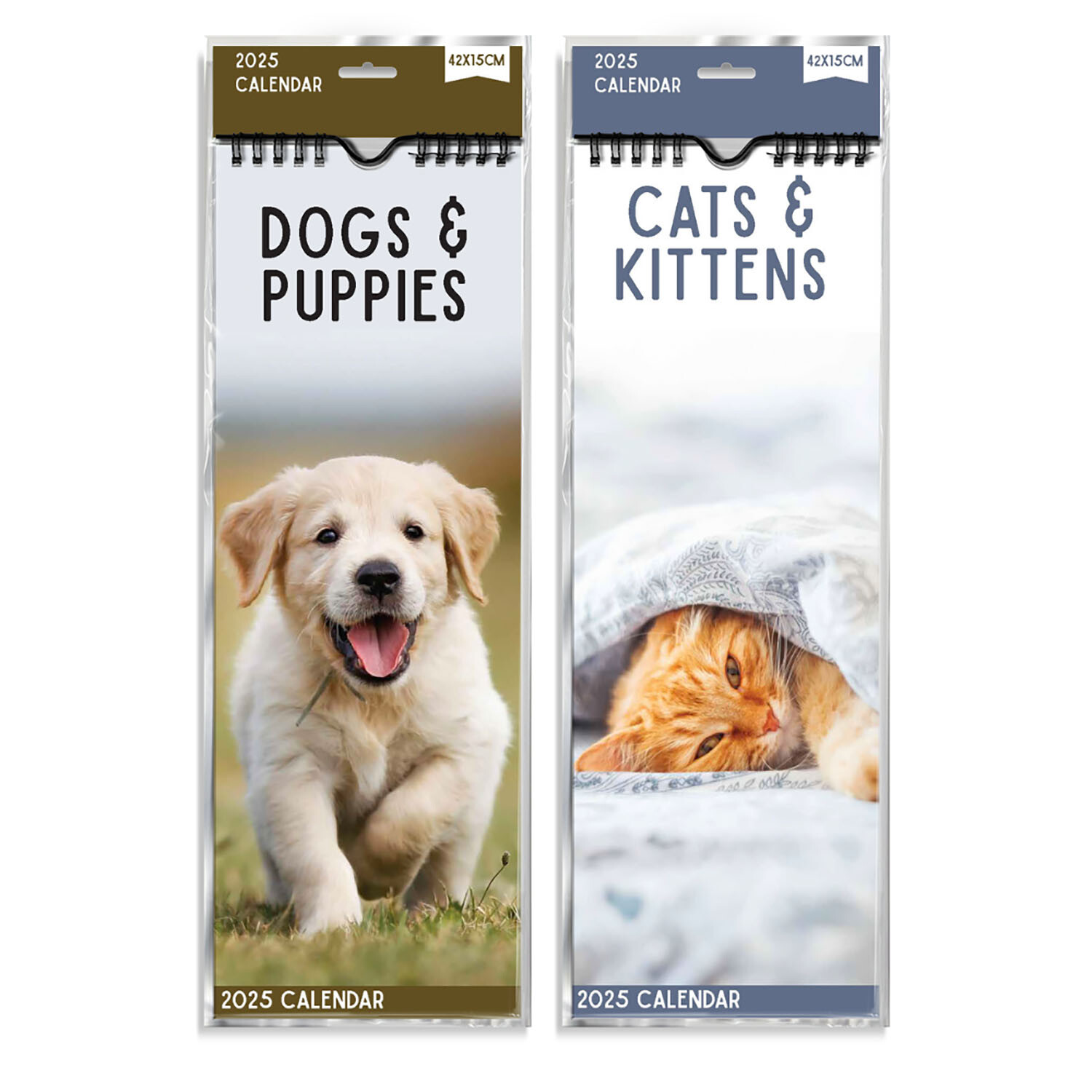 2025 Cats or Dogs Slimline Spiral Calendar - Multicolour Image 1