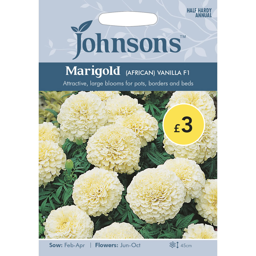 Johnsons Marigold Vanilla F1 Seeds Hybrid Image 2