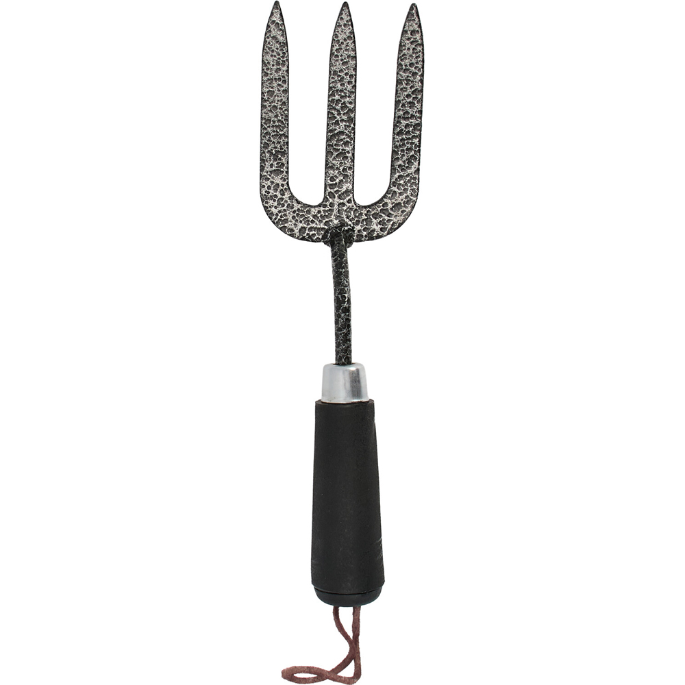 Hand Fork2 Image 2