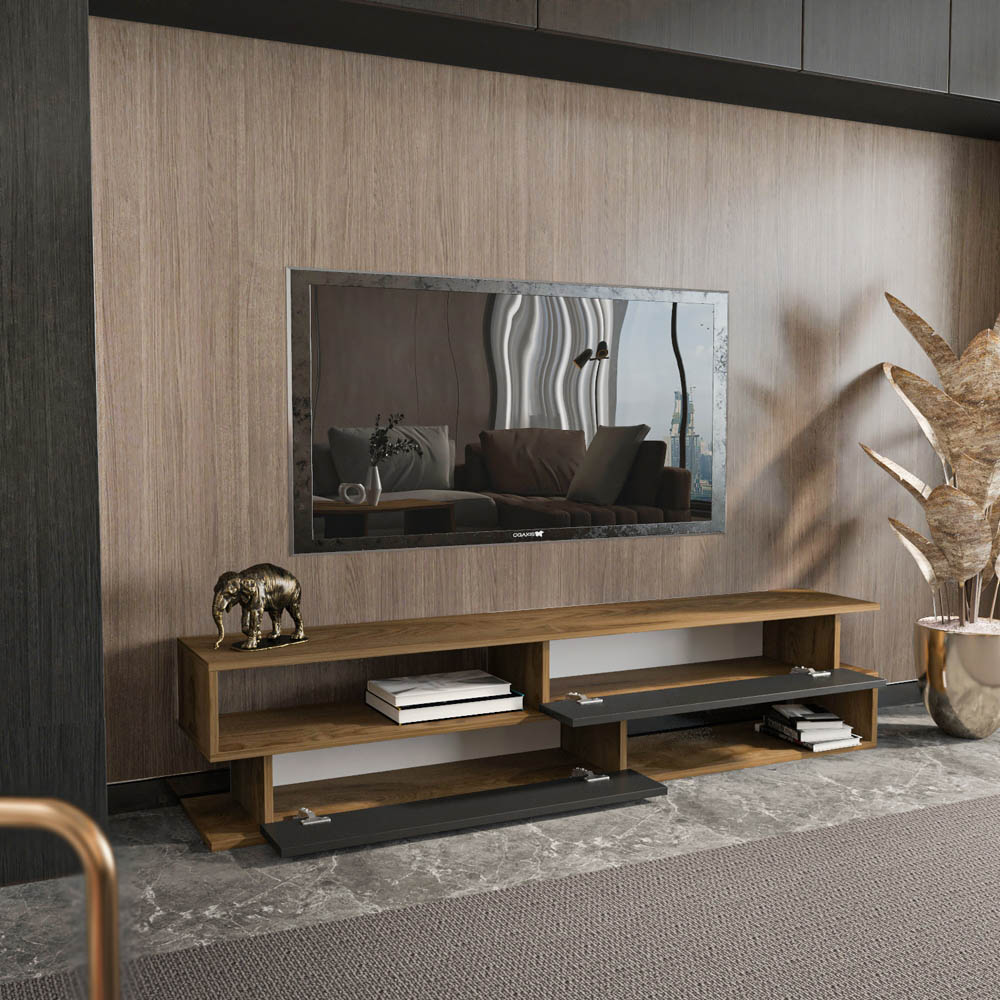 Decorotika Cortez 2 Door 2 Shelf Black and Oud TV Unit Image 9