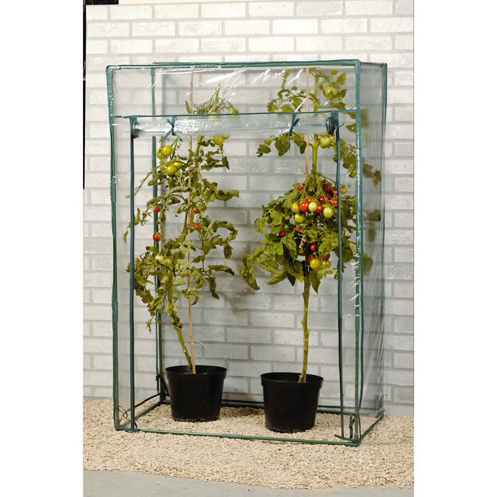 Wilko PVC Tomato Replacement Greenhouse Cover Image