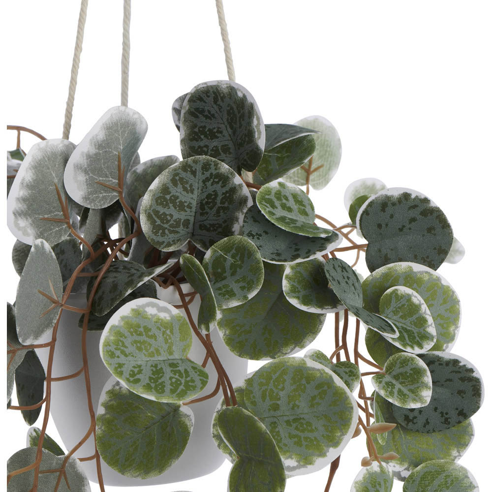 Wilko Hanging Trailing Plant in Pot Wilko