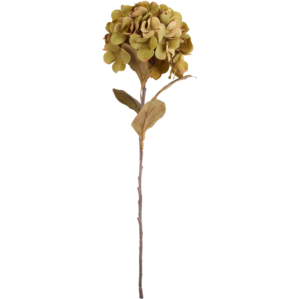 Autumn Hydrangea Stem Image 4