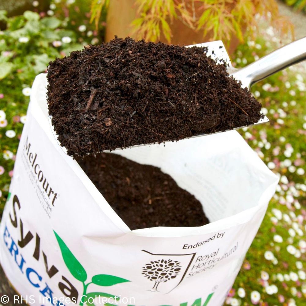 Thompson and Morgan Sylvagrow Ericaceous Peat Free Compost 40L Image 5