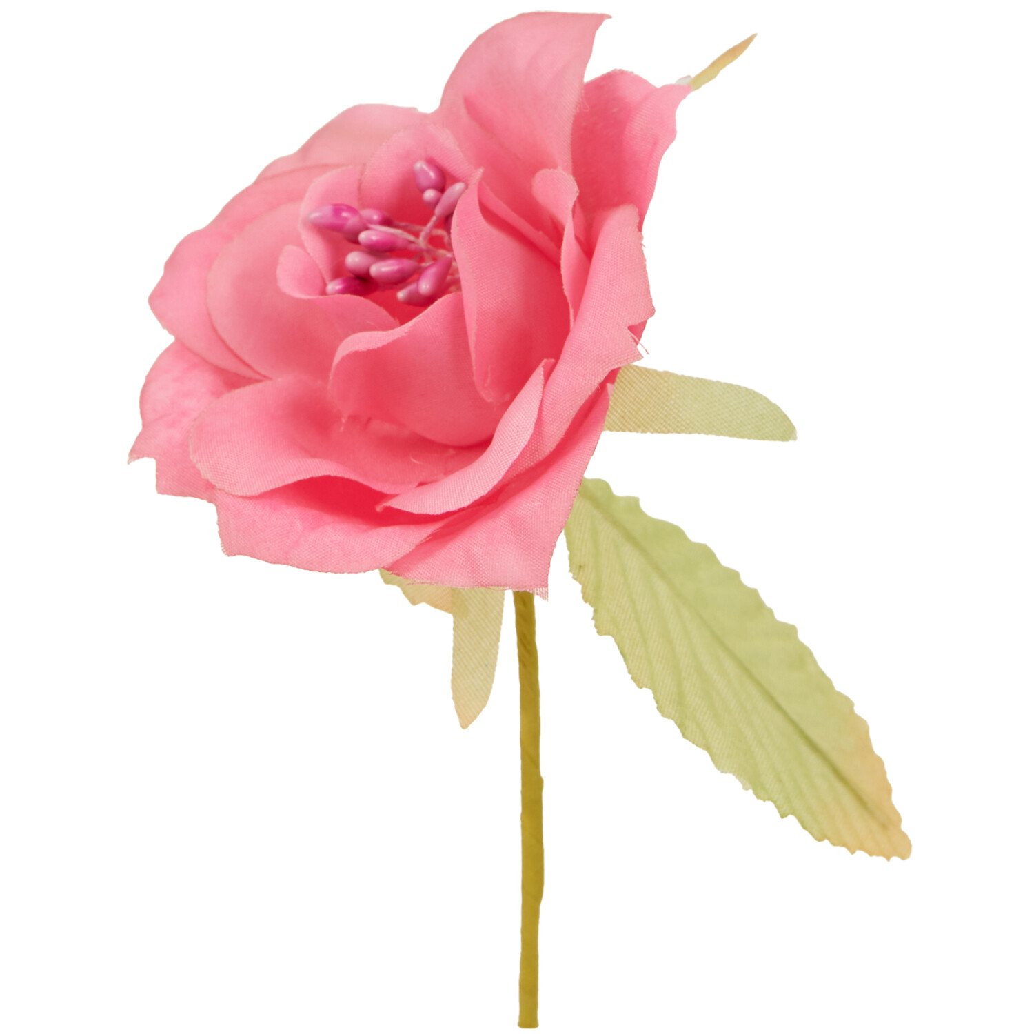 Rose Head with Stem Image 2