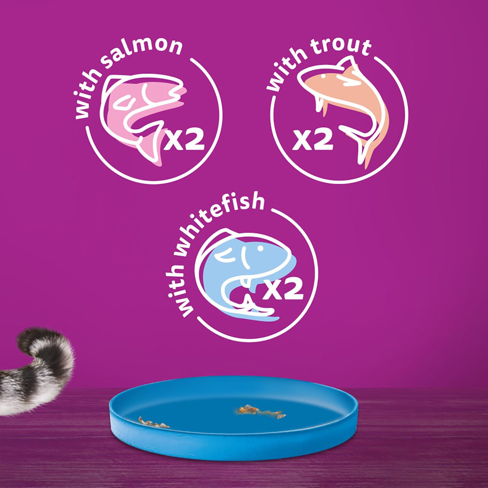 Whiskas 1+ Ocean Menu in Jelly Wet Adult Cat Food Tin 400g 6 Pack Image 4
