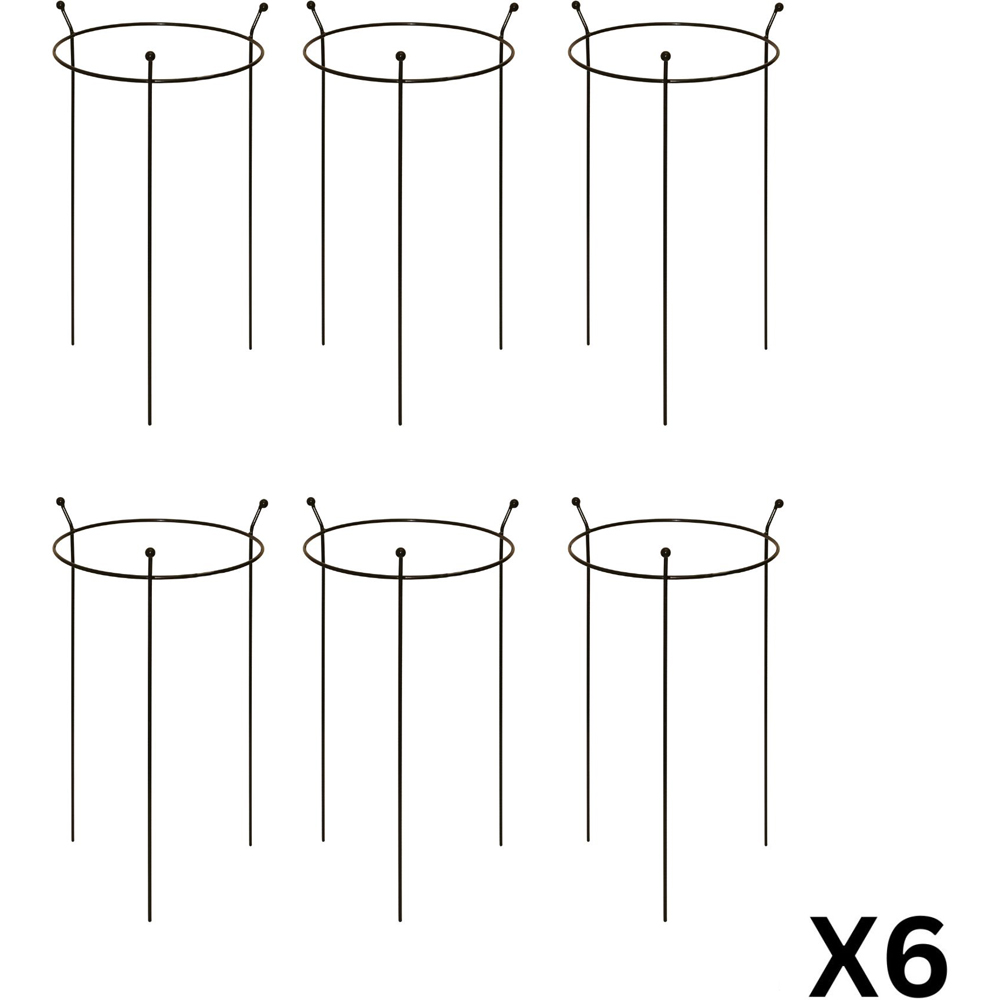 Samuel Alexander Steel Black Herbaceous Garden Plant Support Ring 60 x 35cm 6 Pack Image 3