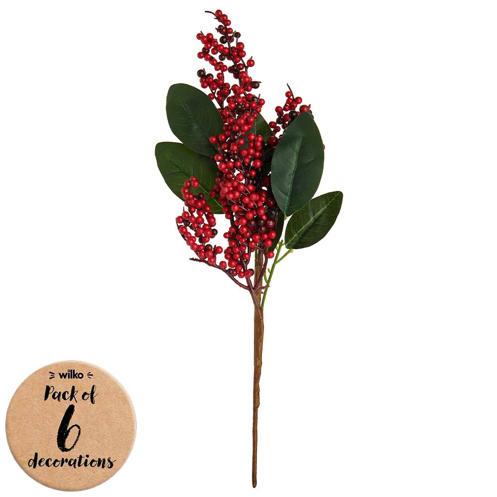 Wilko Winter Berries Pick 6 Pack Wilko