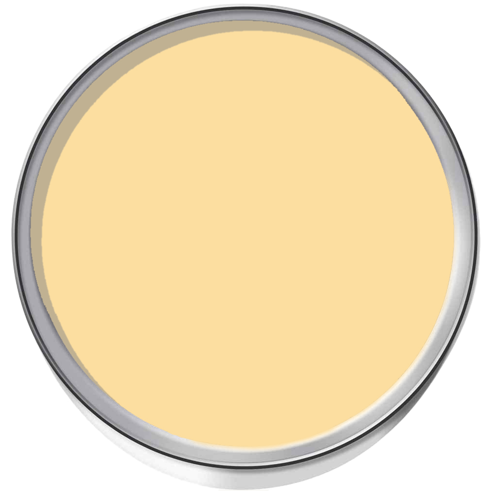 Smartseal Citrus Sky Smooth Wall Coating 5L Image 3