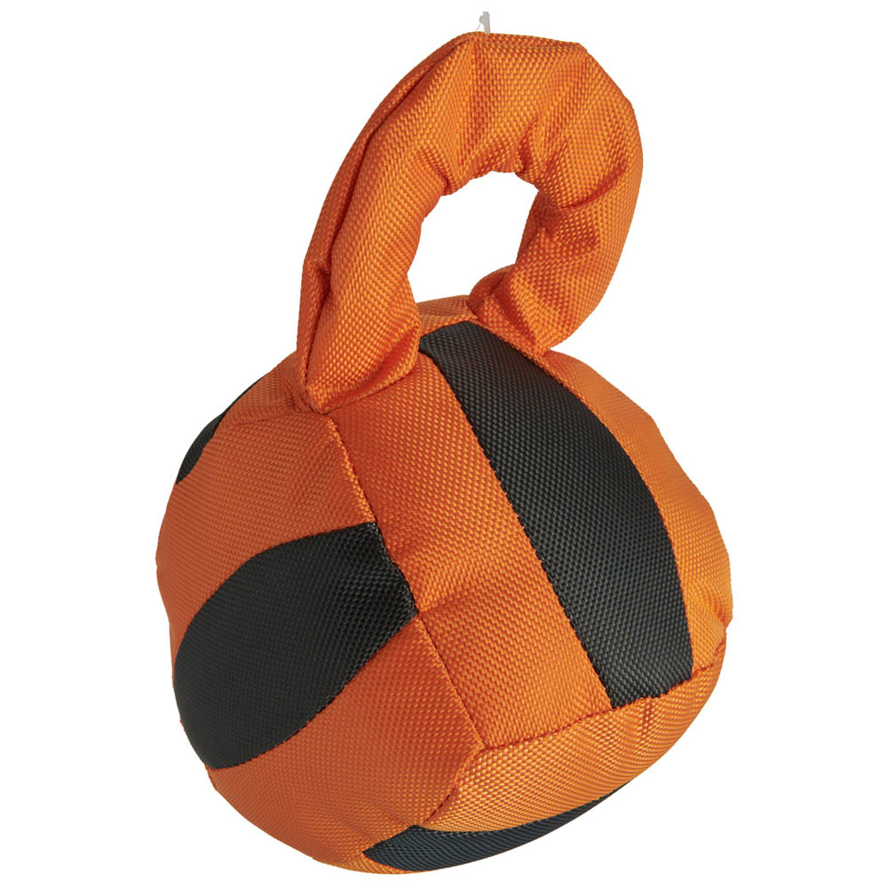 Wilko Dumbbell Dog Toy Wilko