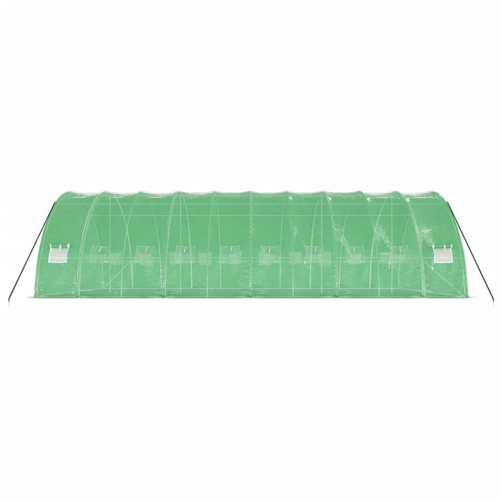 vidaXL Green 19.7 x 32.8ft Greenhouse Image 5
