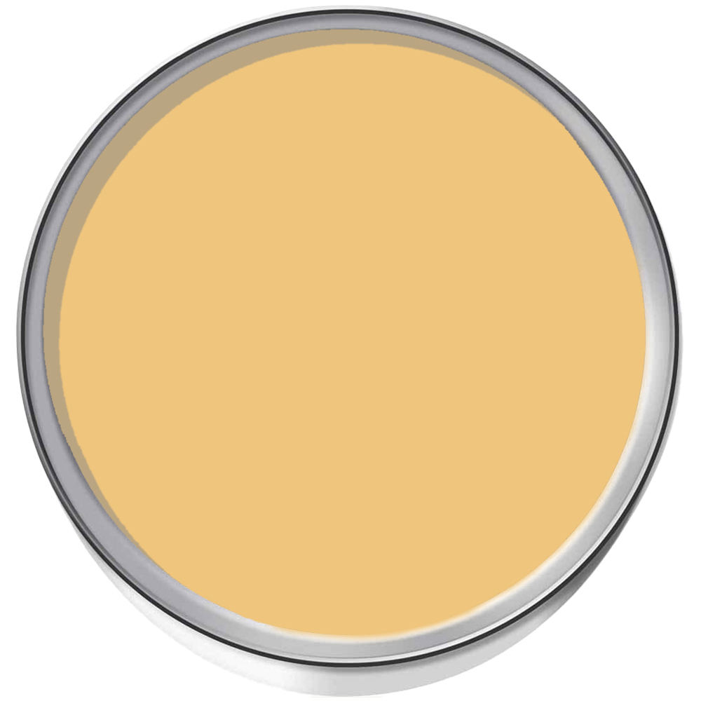Smartseal Soft Apricot Textured Wall Coating 5L Image 3