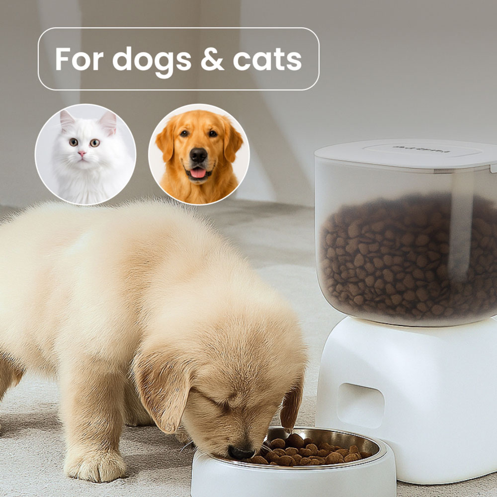 noerden Pet Plate Automatic Wi-Fi Pet Feeder Image 7
