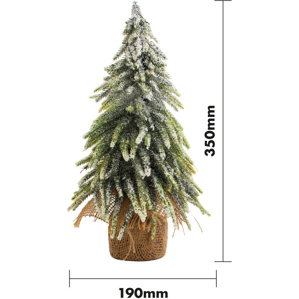 St Helens 35cm Green Snow Topped Mini Christmas Tree Image 5