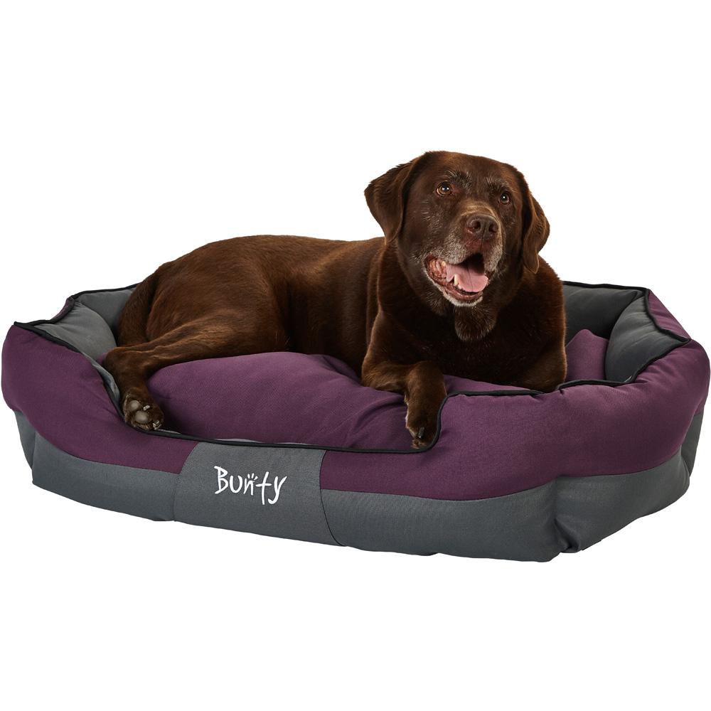 Bunty Anchor X Large Purple Pet Bed Image 2