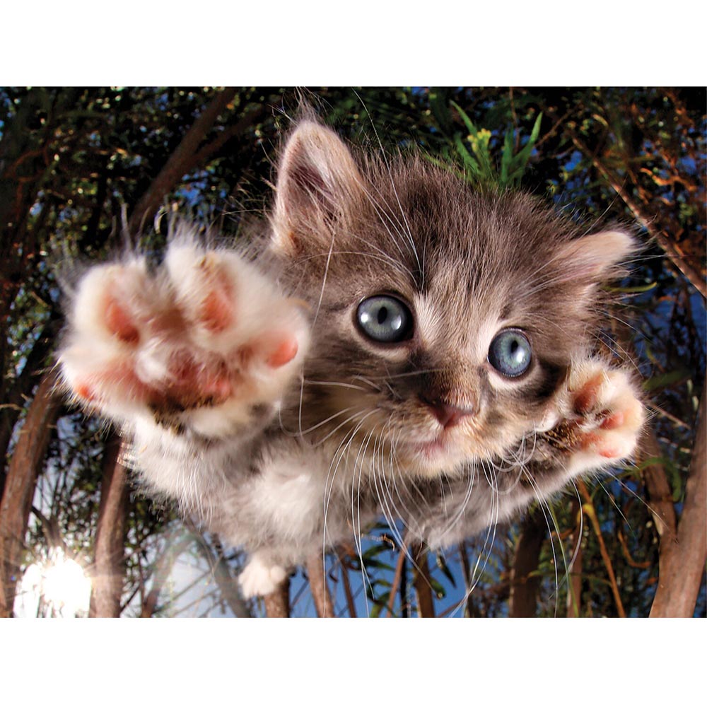 3D Cats Puzzle Image 2