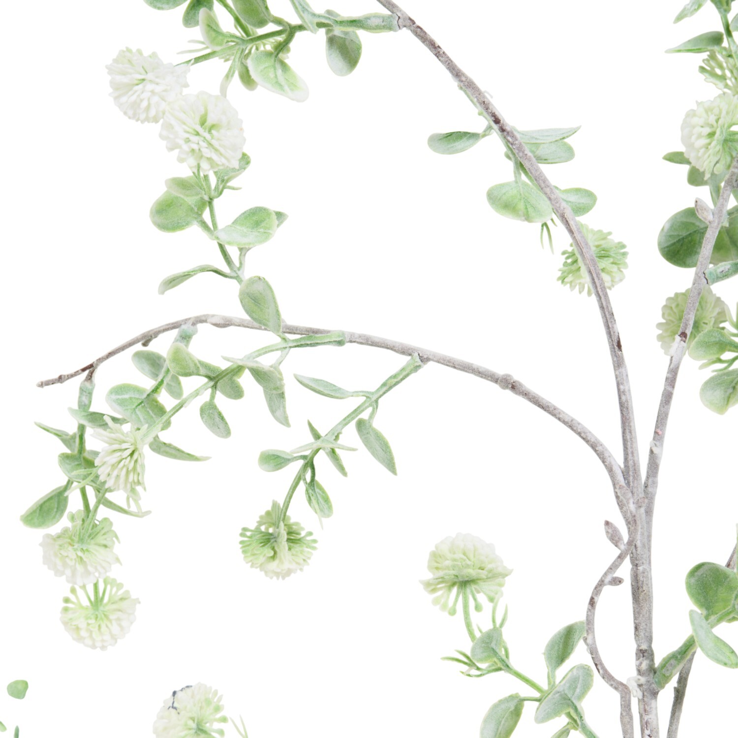 Floss Flower Spray Image 8