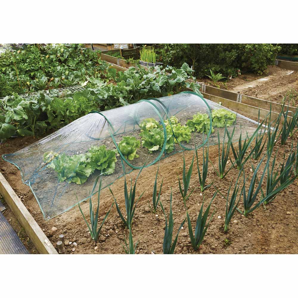 Wilko Polythene Popup Tunnel 1.95m x 3.3m Wilko