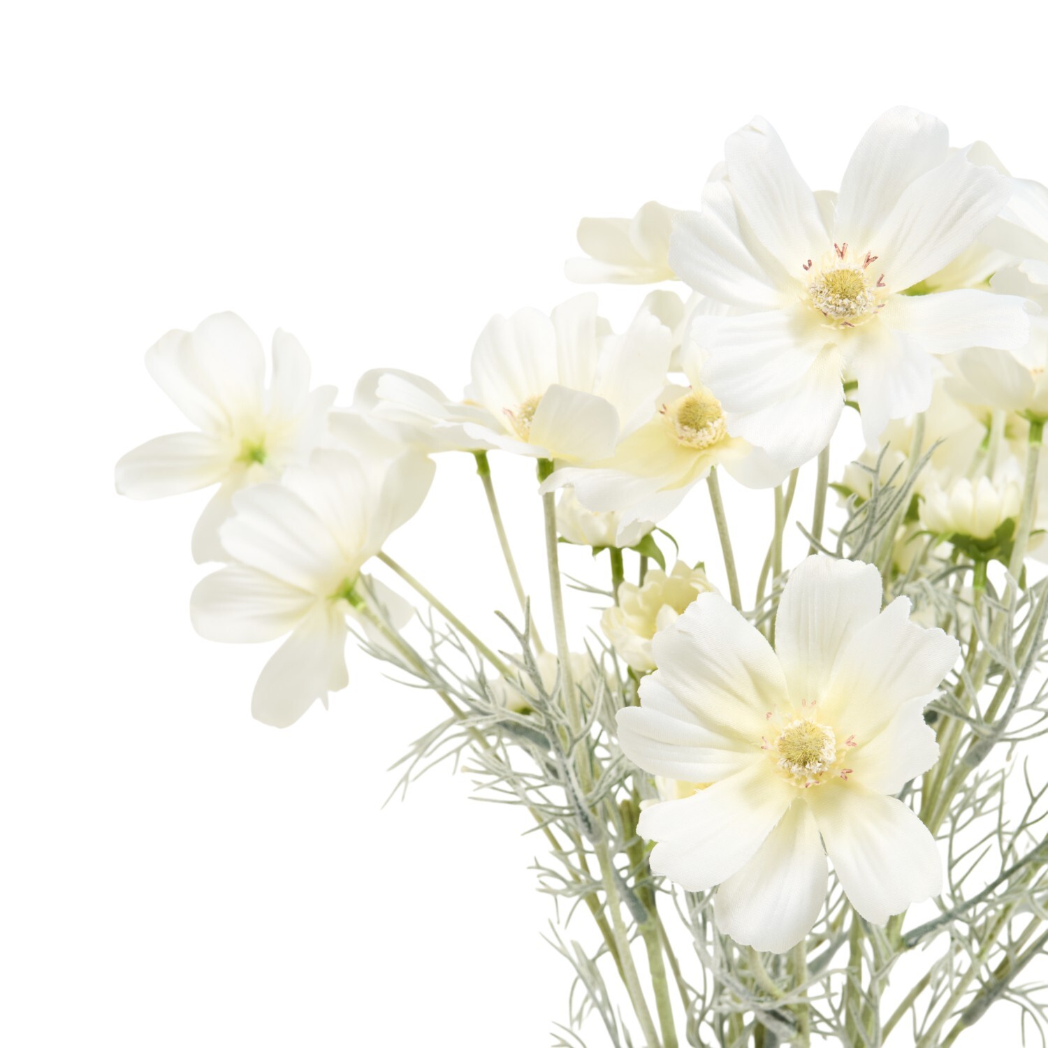 Cosmos Vase Arrangement White Image 3
