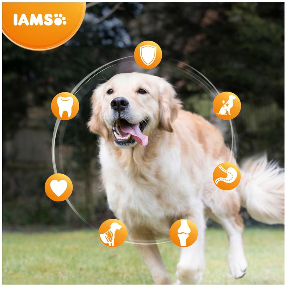 IAMS Small Medium Dog Food 800g Image 3