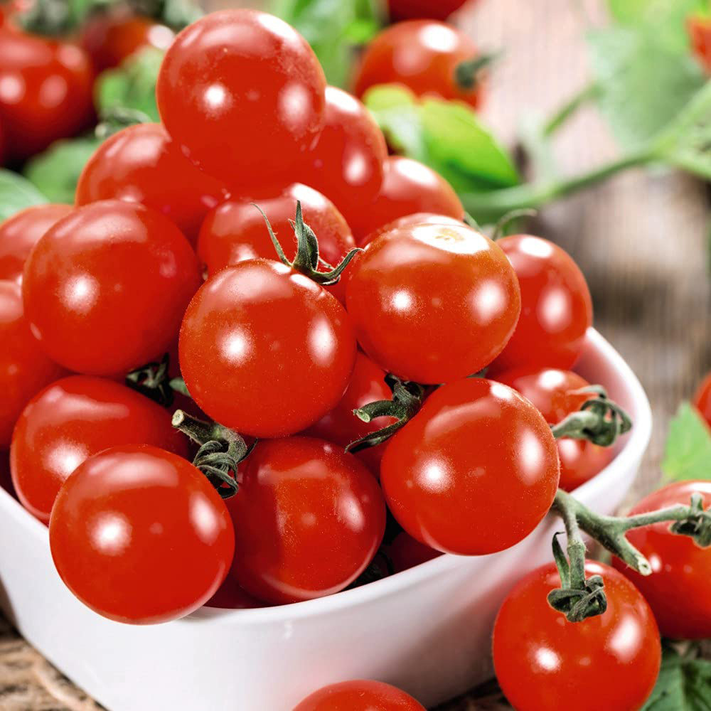 Thompson and Morgan Tomato Grafted Crimson Collection Plant Pot 10cm 12 Pack Image 6