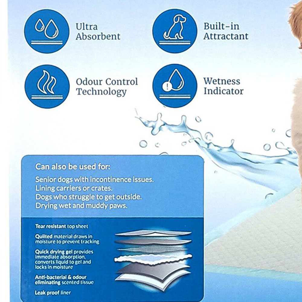 Clever Paws Training Pads 250 Pack Image 6