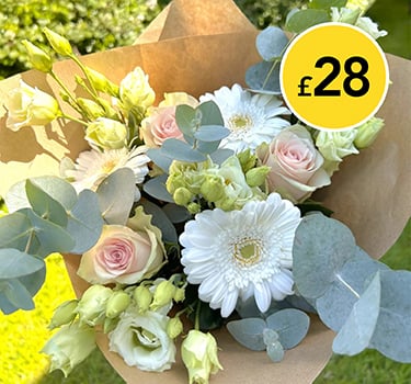 Soft Rose and Gemini Mix Bouquet