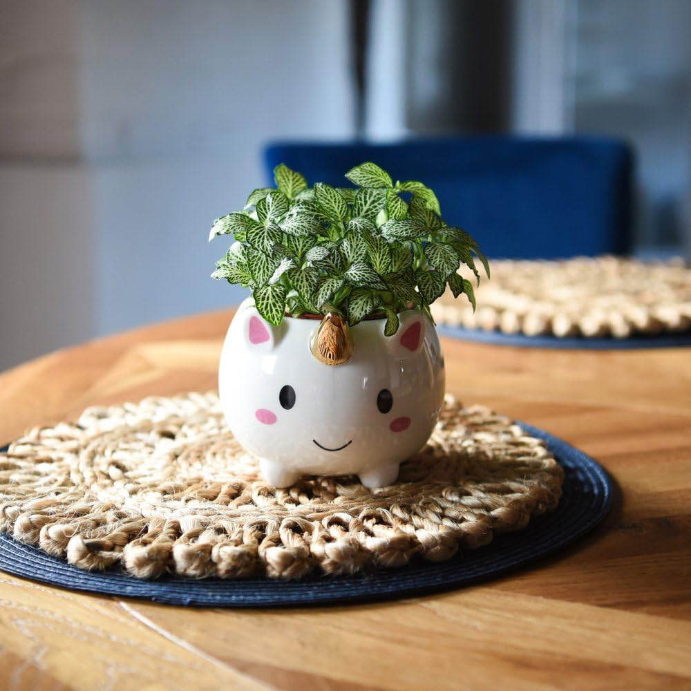Thompson & Morgan Unicorn Pot with Gold Horn Set of 2 Image 5