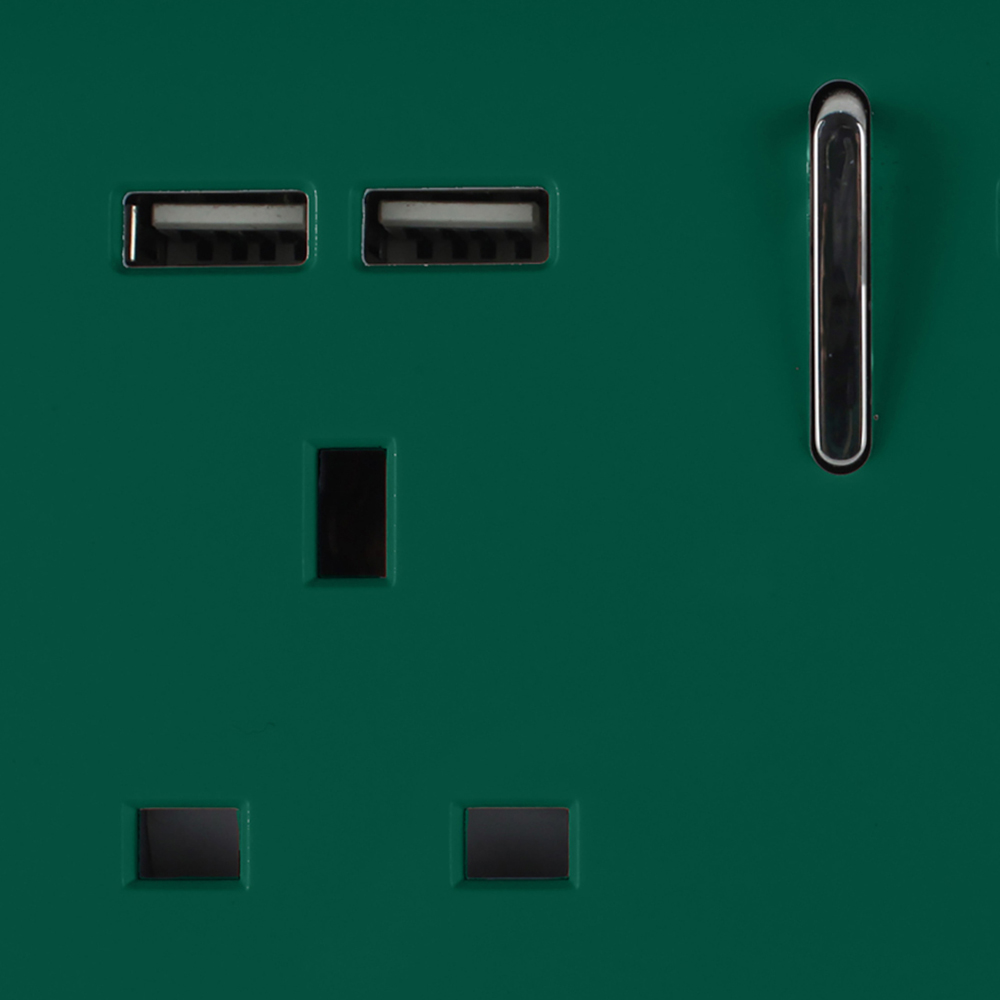 Trendi Switch 2 Gang 13amp 4 Port USB Dark Forest Green Plug Socket Image 2
