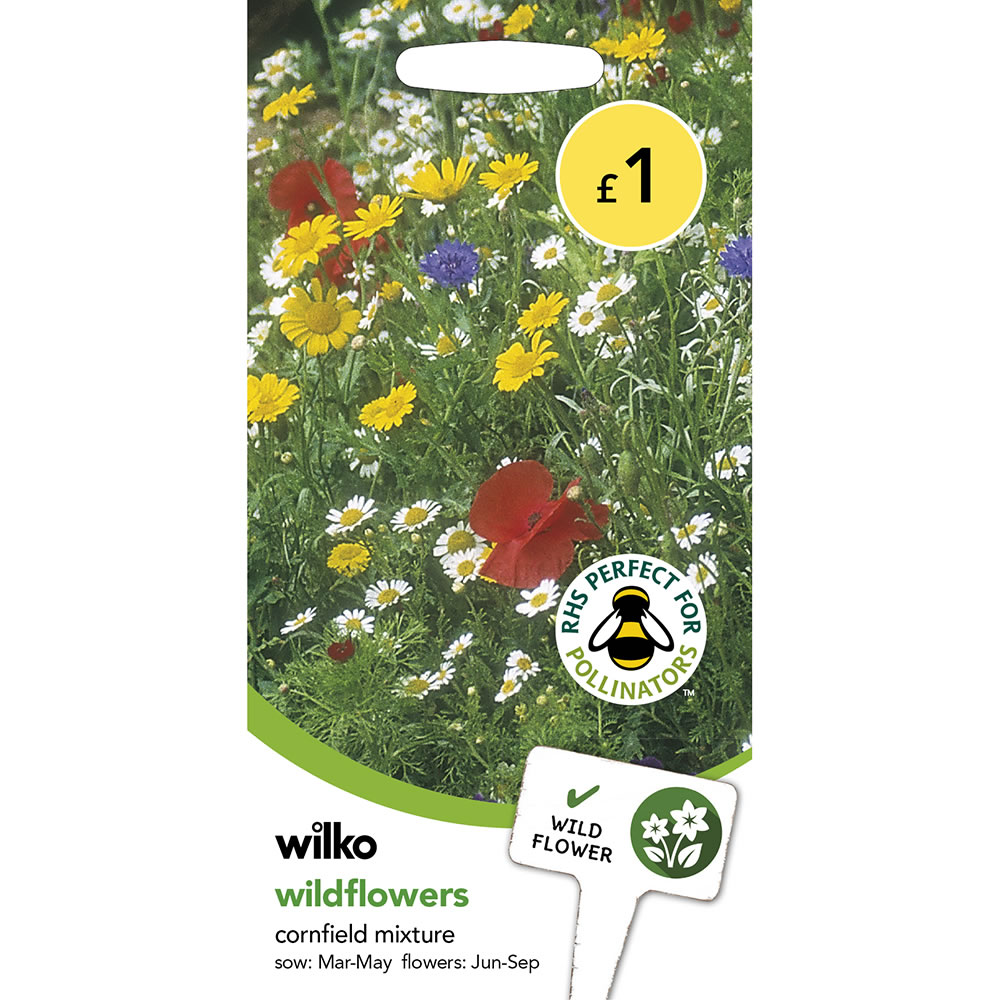 Wilko Wildflowers Cornfield Mixed Seeds Image 2