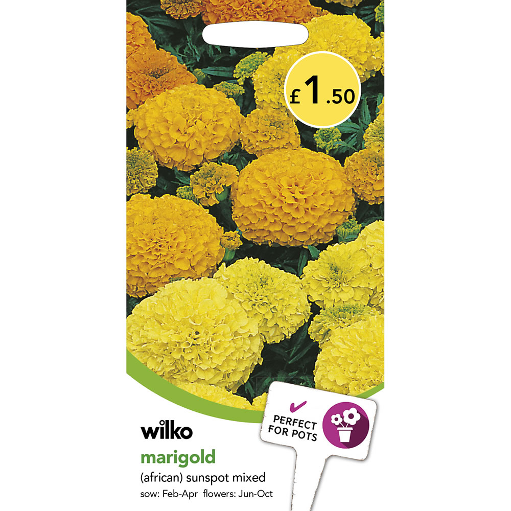 Wilko Marigold African Sunspot Mix Seeds Image 2