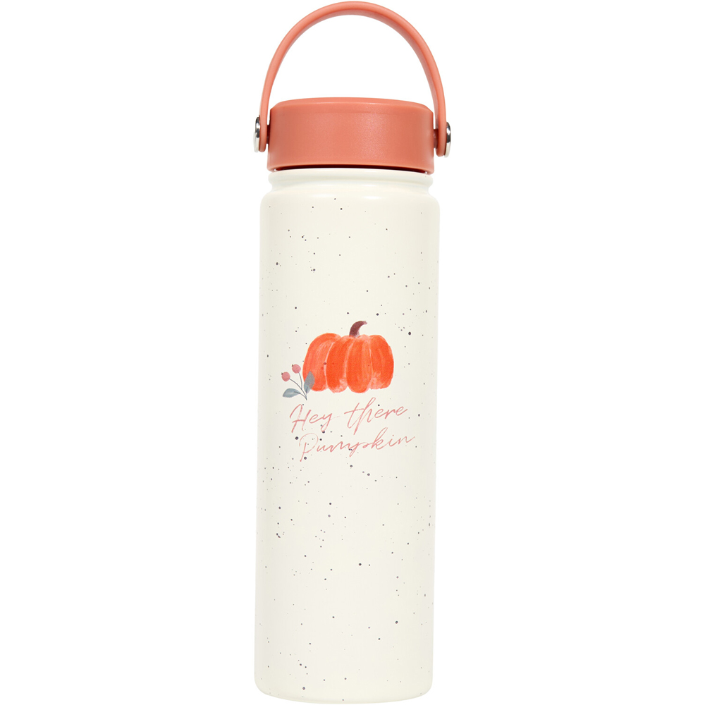 Autumn 2-in-1 Stainless Steel Flask and Bottle Image 2