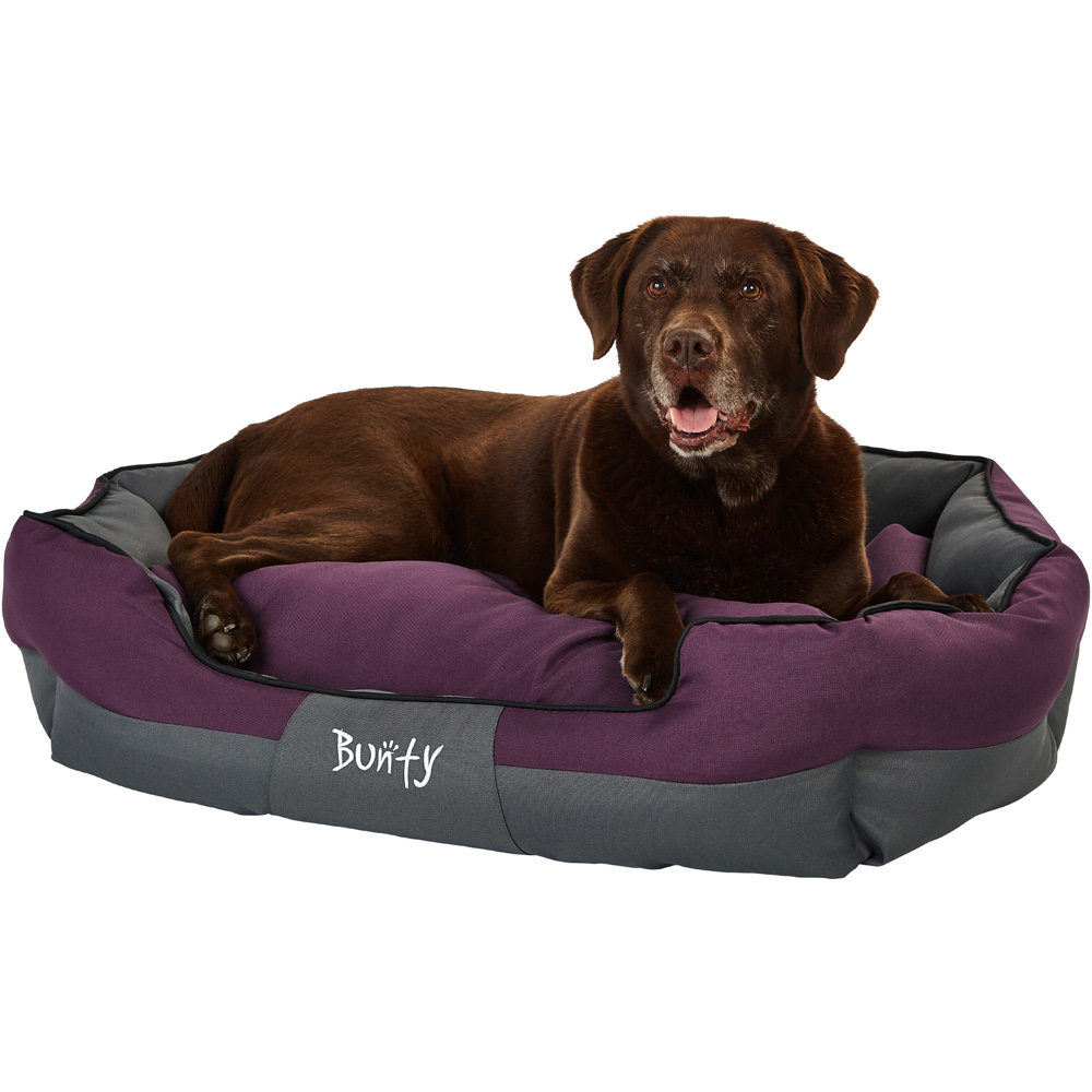 Bunty Anchor X Large Purple Pet Bed Image 4