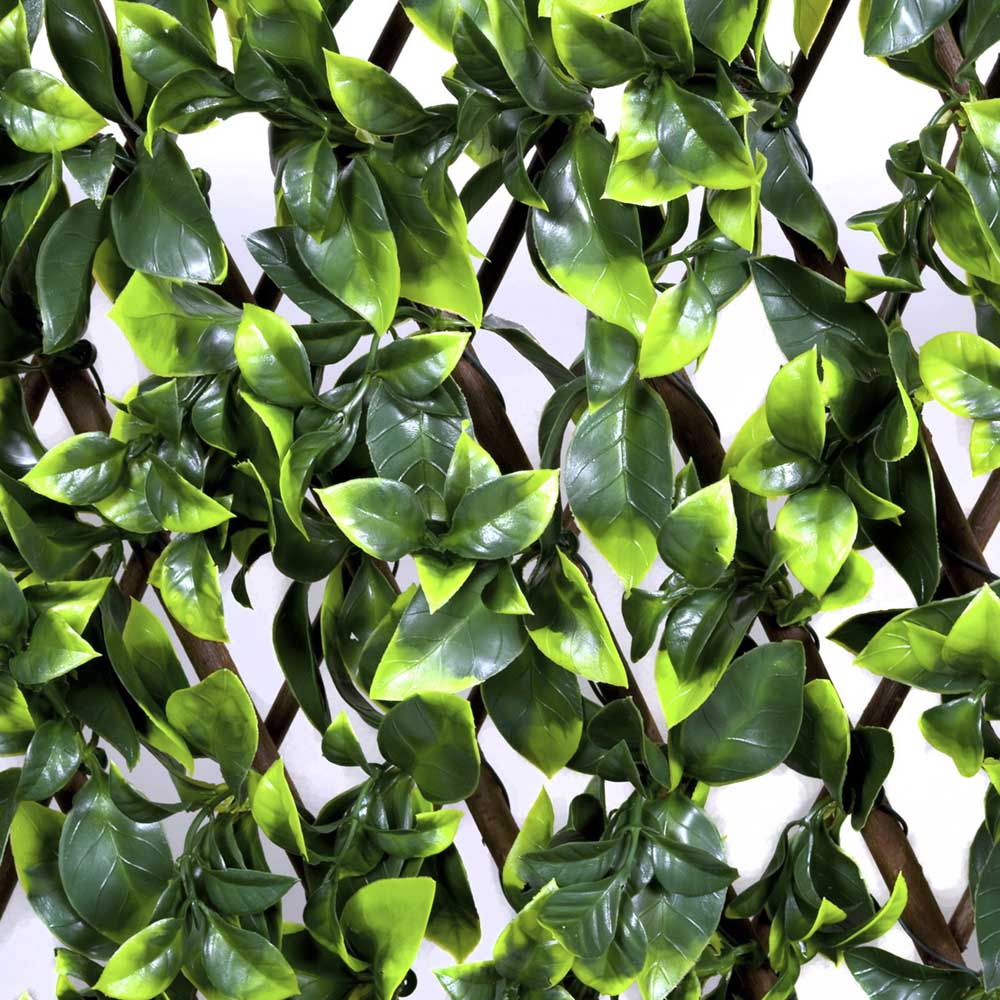 GreenBrokers Artificial Variegated Green Leaf Foliage Expandable Willow Trellis 100 x 200cm Image 4