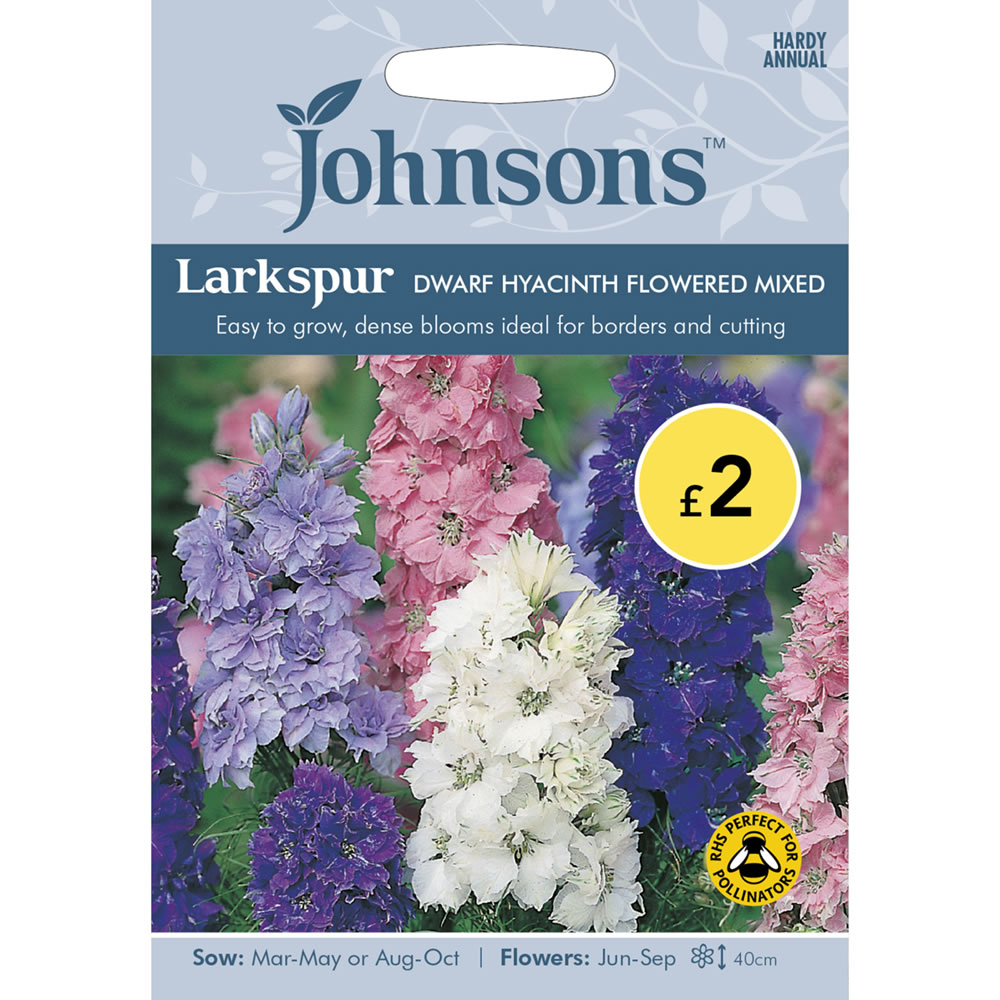 Johnsons Larkspur Dwarf Hyacinth Seeds Image 2