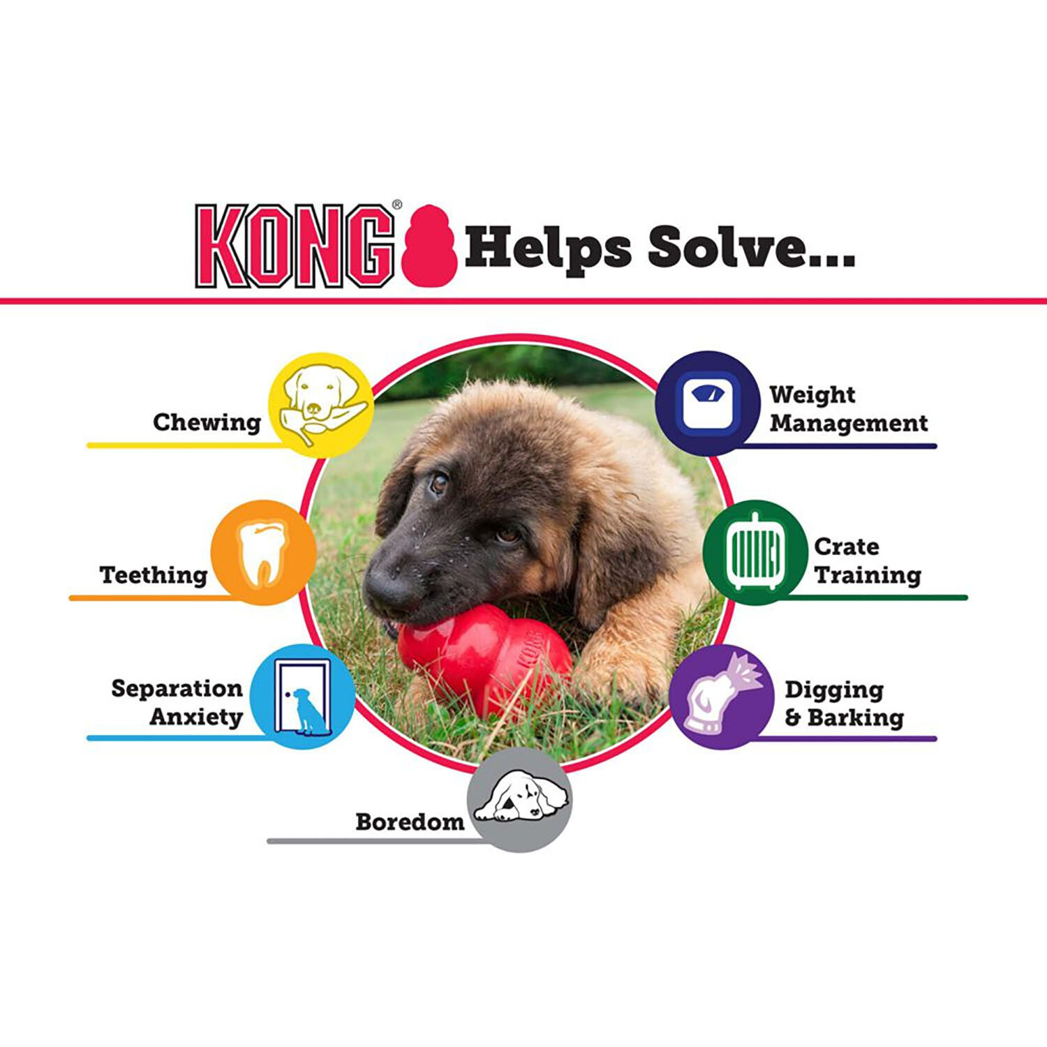 KONG Classic Puppy Toy - Large Image 3