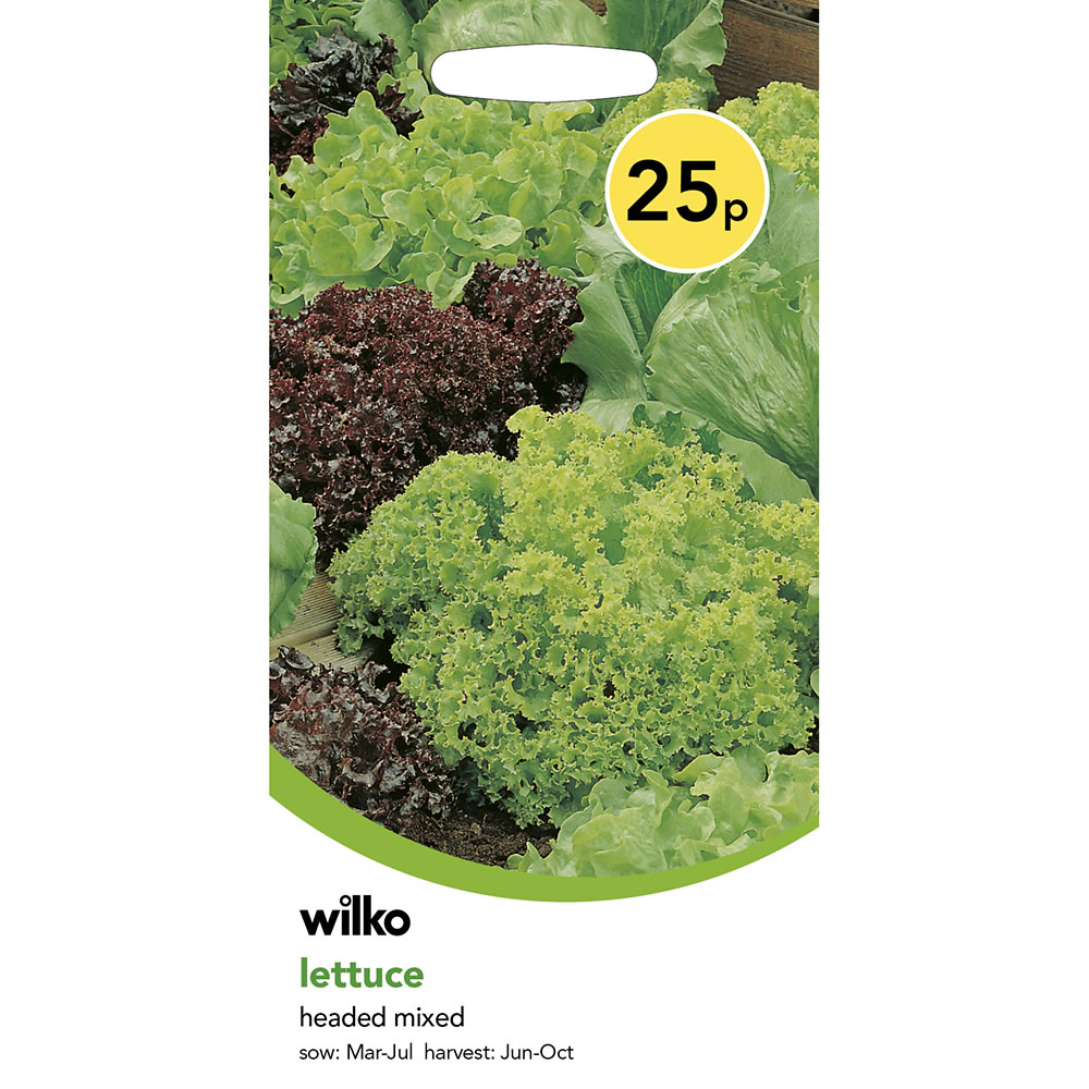 Wilko Lettuce Headed Mix Seeds Image 2
