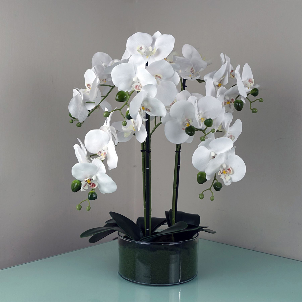 Botanik White Orchid Artificial Tree in Glass Planter 50cm Image 2
