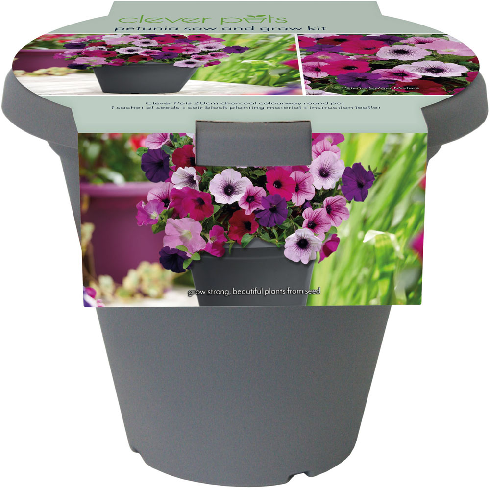 Clever Pots Petunia Sow and Grow Kit with a 19/20cm Round Pot Image 1