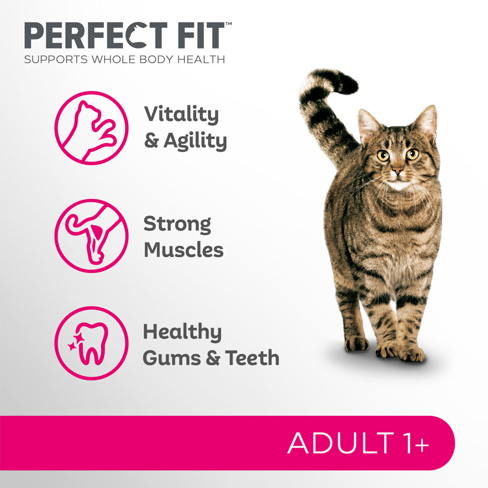 Perfect Fit Advanced Nutrition Salmon Adult Dry Cat Food 750g Image 2