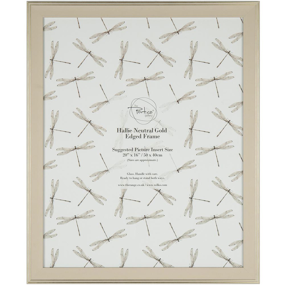 Hallie Neutral Gold Edged Frame - Neutral / 20 x 16in Image 1