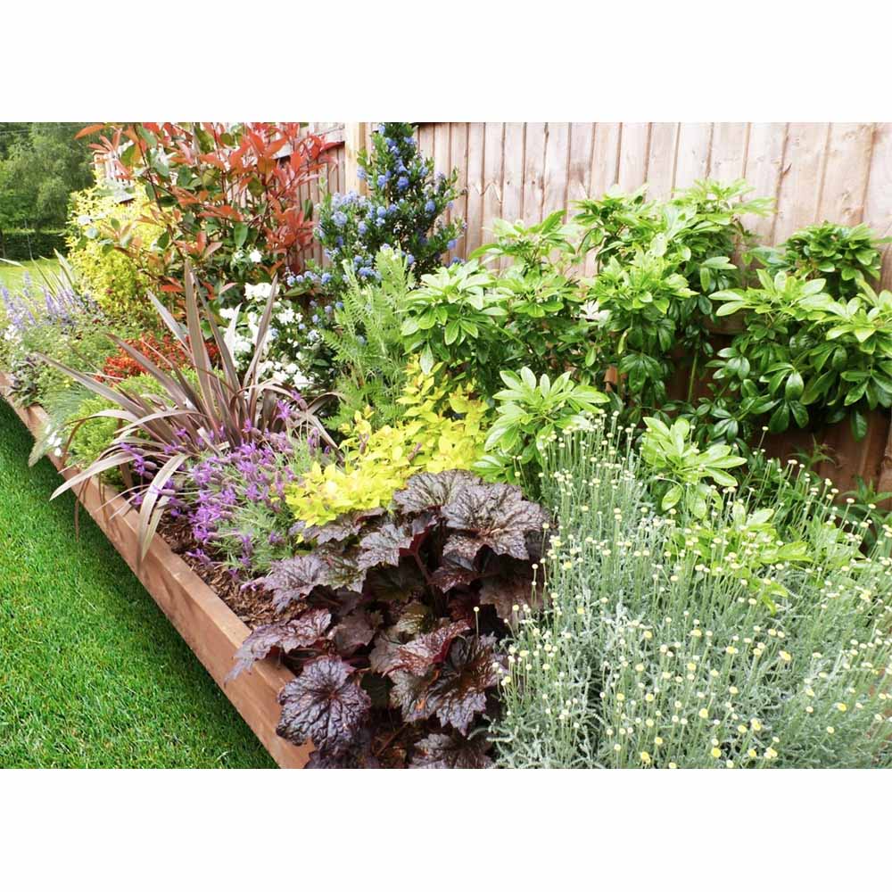 Garden On A Roll Mixed Sunny Border Pack 7m x 60cm Image 1