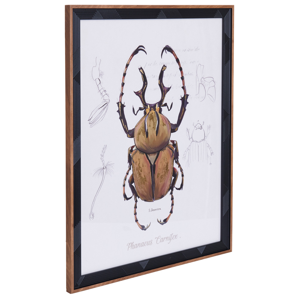 Wilko Beetle Print Drawn Stag Image 2