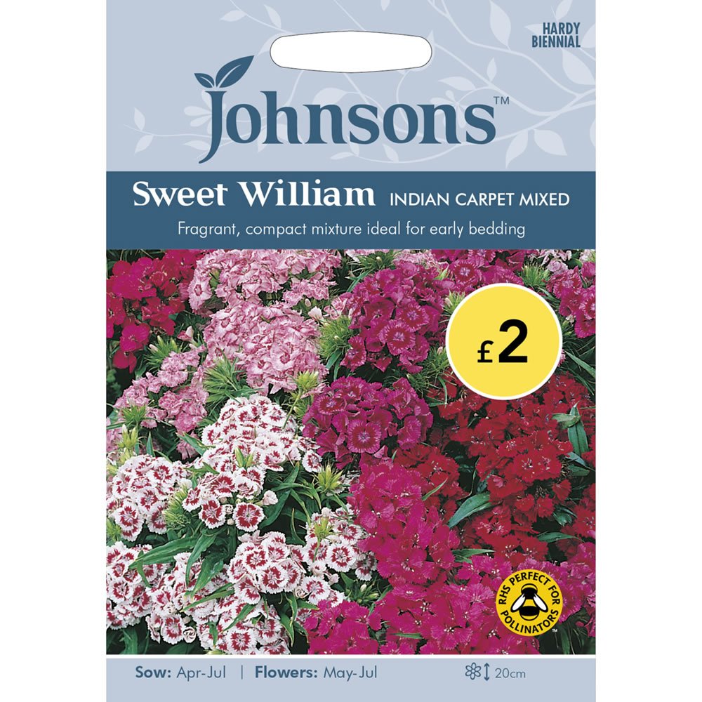 Johnsons Sweet William Indian Carpet Mix Seeds Image 2