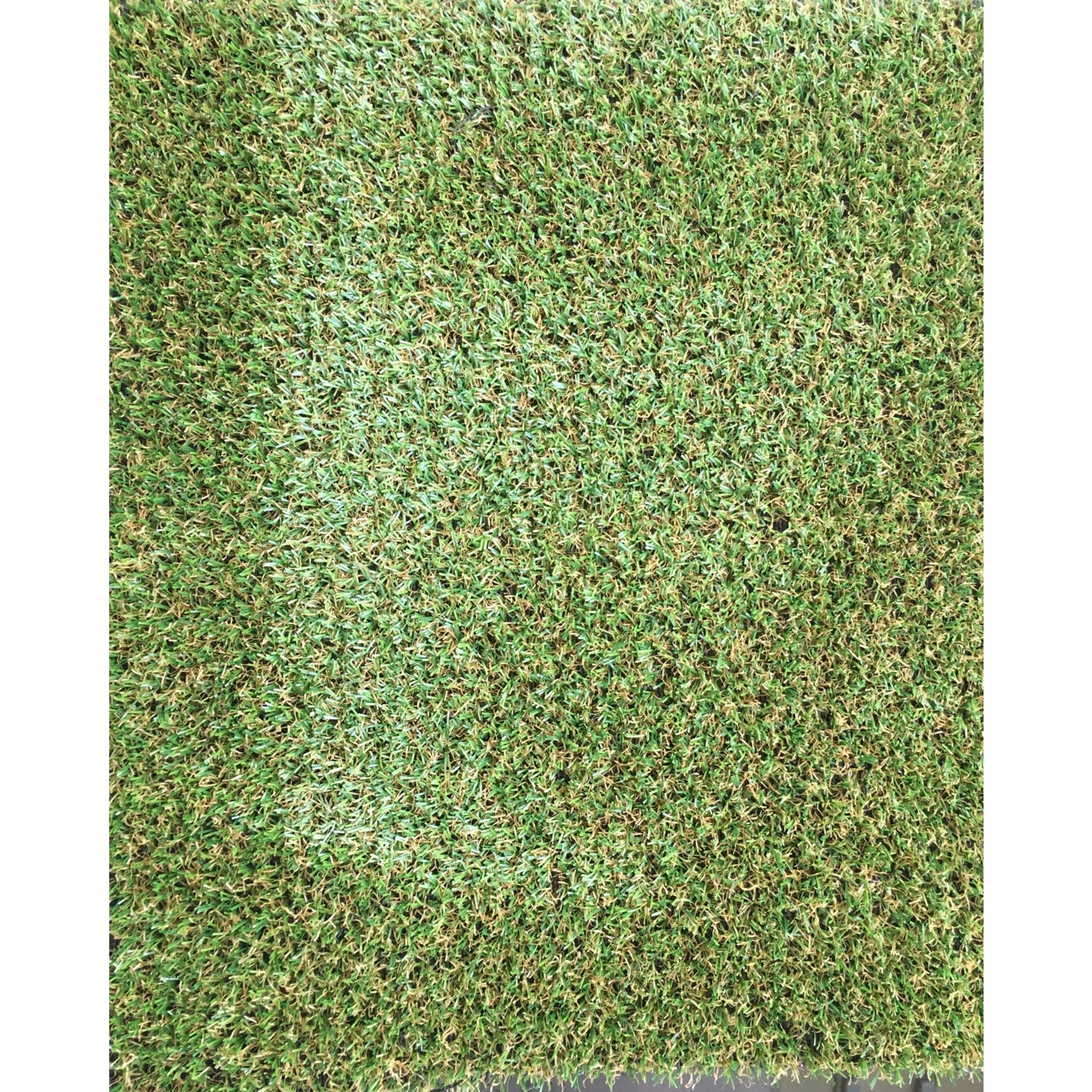 Value 11mm Pile Artificial Grass Image