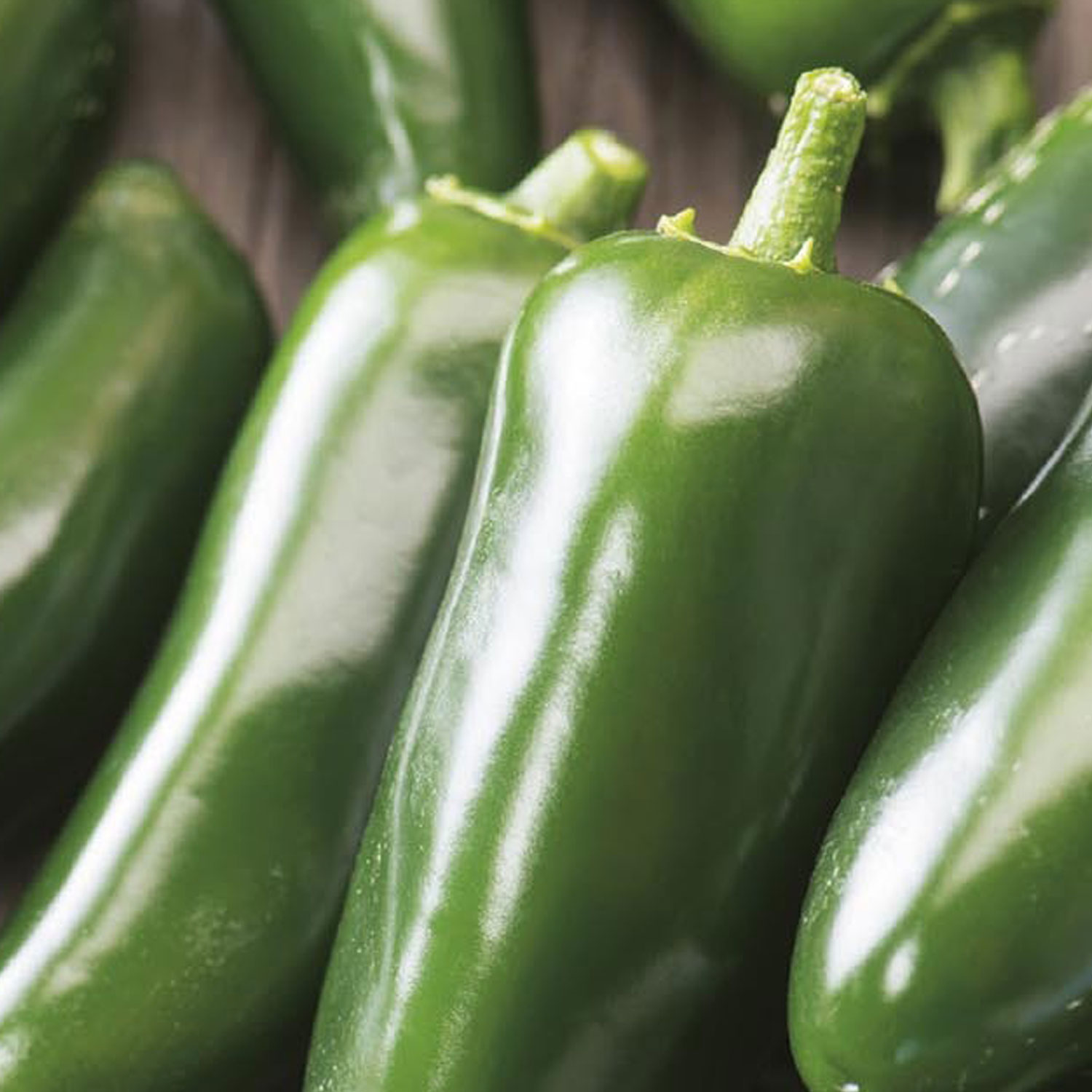 Johnsons Pepper Jalapeno Vegetable Seeds Image 1