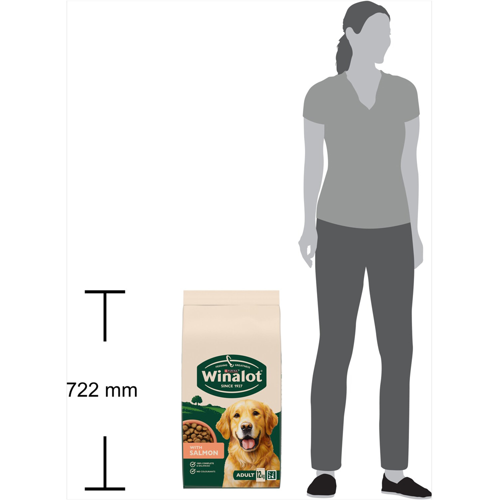 Winalot Complete Adult Dog Food Salmon Image 9