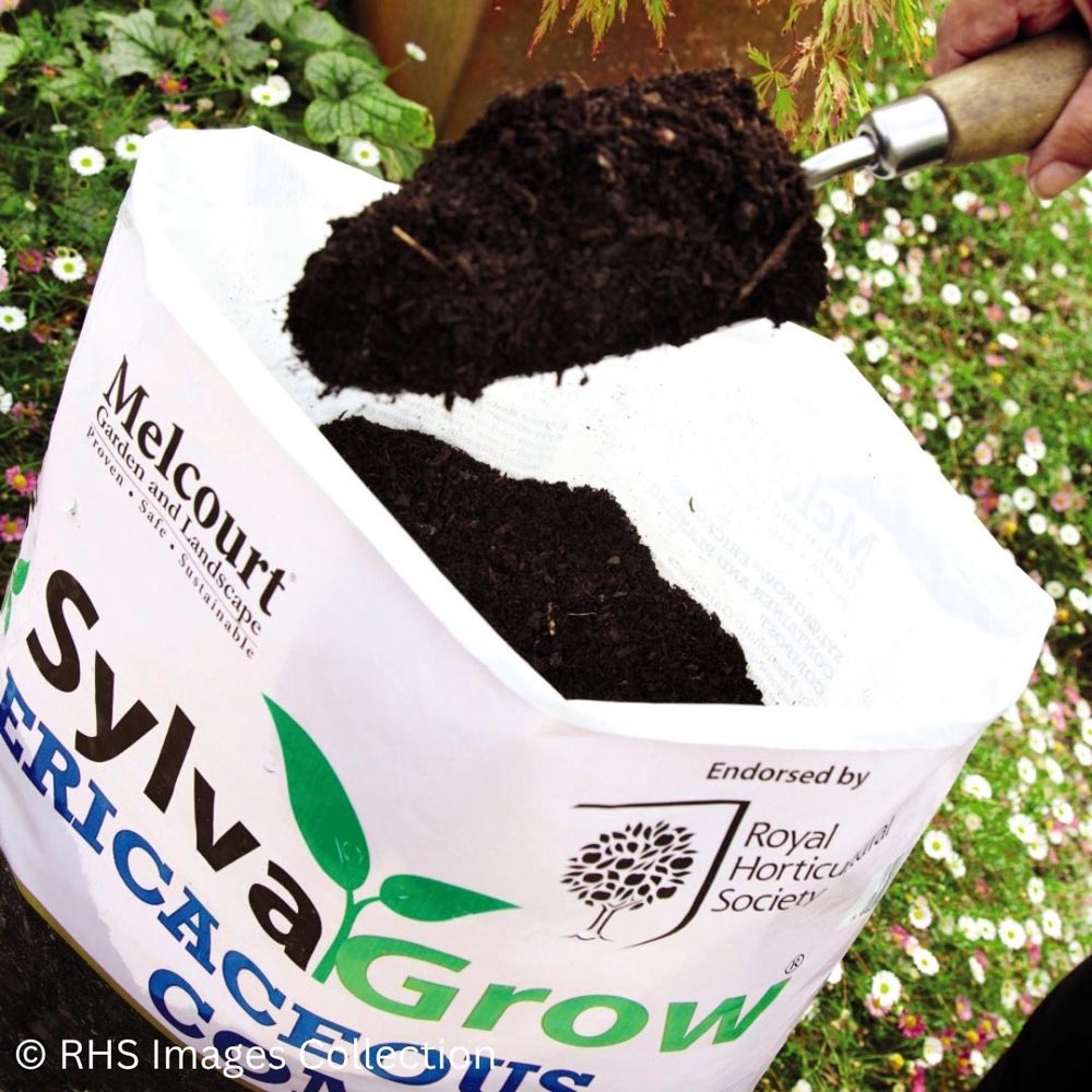 Thompson and Morgan Sylvagrow Ericaceous Peat Free Compost 40L Image 3