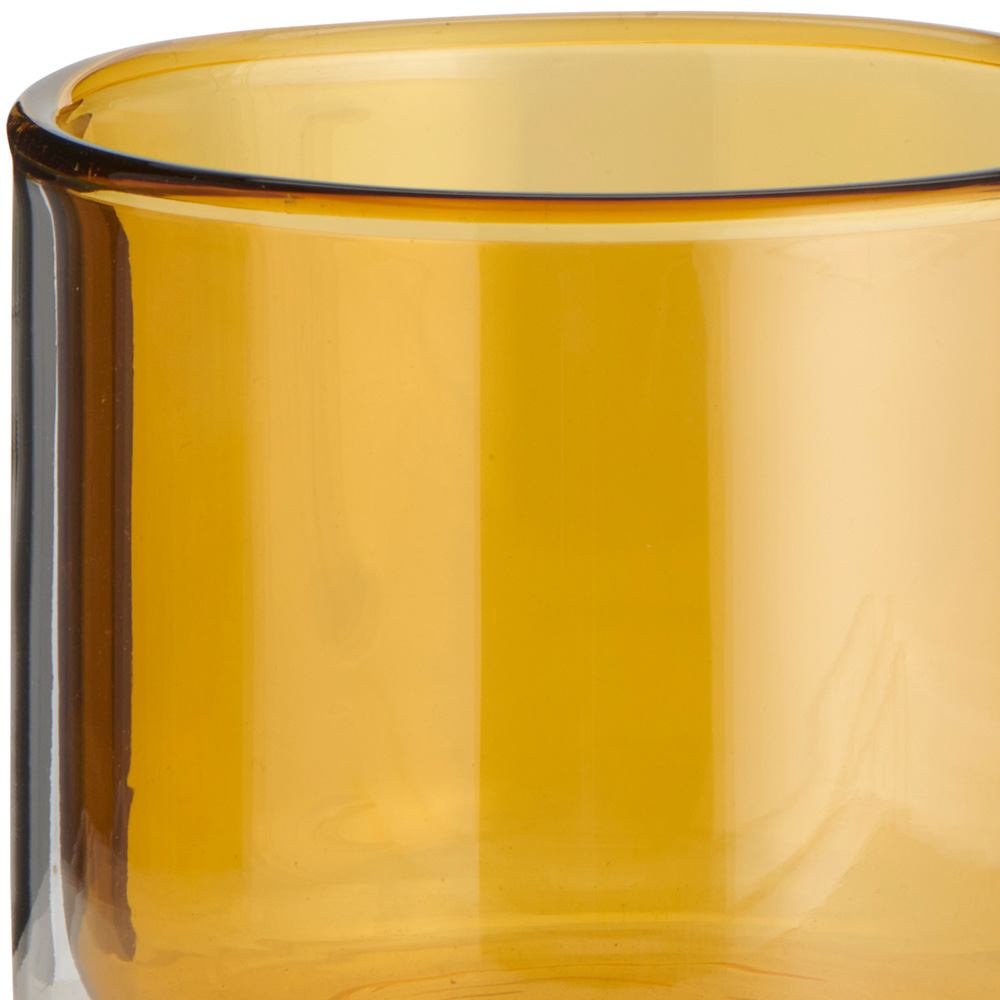 Wilko Double Wall Glass Mug Amber Wilko