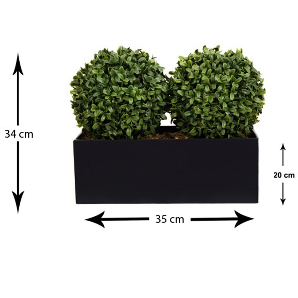 GreenBrokers Artificial Boxwood Double Bay Ball in Black Straight Window Box 35cm Image 4